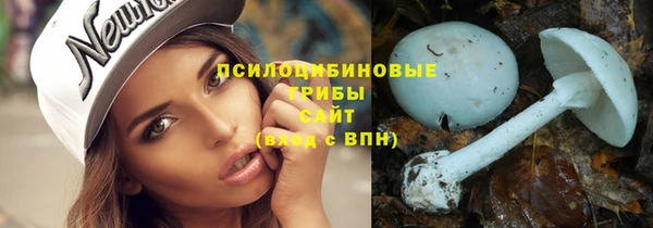 крисы Арсеньев