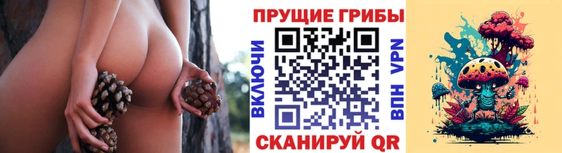 Галлюциногенные грибы прущие грибы  купить   Ельня 